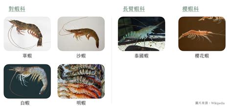 魚種類|1747種の全ての写真を一覧で表示した魚図鑑